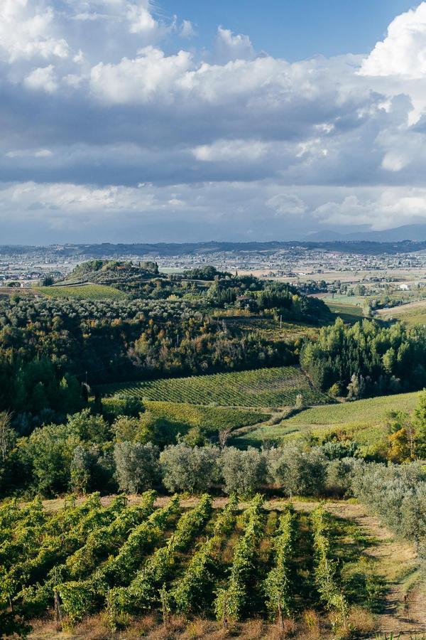 Agriturismo Bellavista San Miniato Luaran gambar